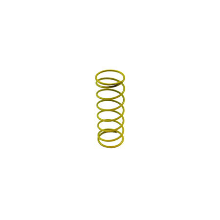Dungs 229-897 Regulator Spring Yellow 12 to 28 W.C. For FRS 5100