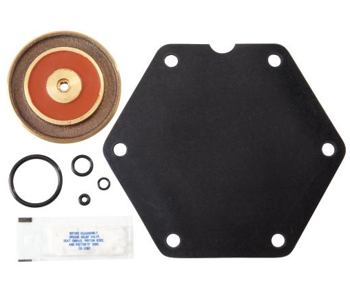 Watts 0794081 Repair Kit