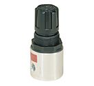 Watts R364-02CG Mini-Pressure Regulator 1/4" 0-125 PSI with Gauge