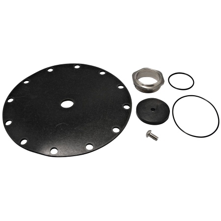 Watts 0125370 Repair Kit 2" RK LF223N