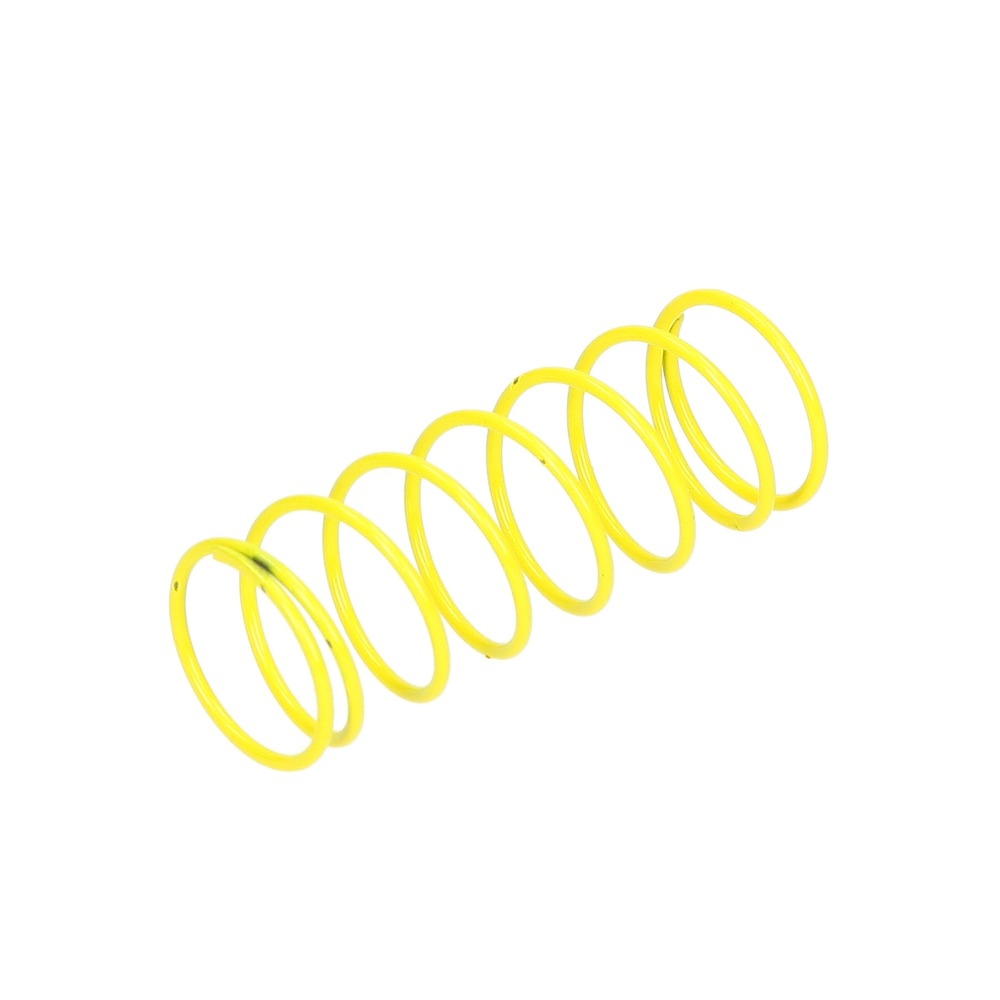 Dungs 229-838 Regulator Spring Yellow 12 to 28 W.C. For FRS 707/507