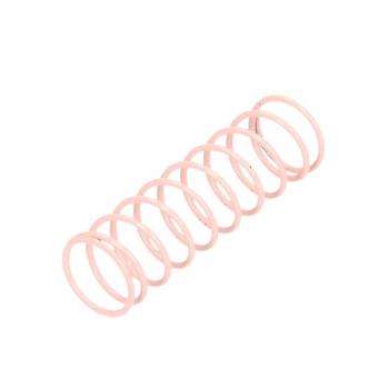 Dungs 229-881 Regulator Spring Pink 40 to 60 W.C. For FRS 720/520/5050