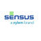 Sensus (Rockwell-Equimeter) 046-00-005-01 Cast Iron Cover Cap